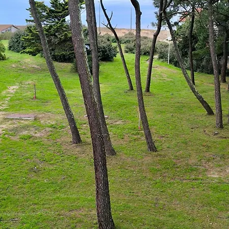 アパート Le Parfum D Elegance - - *