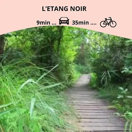 Le Parfum D Elegance - - * セノッス - ル・ペノン