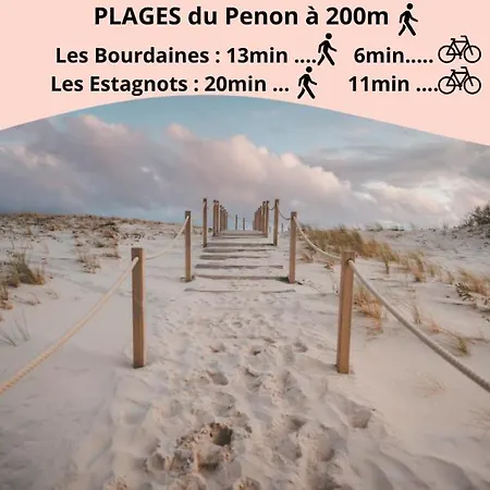 Parfum D'elegance - - Vue Sur Les Pins *