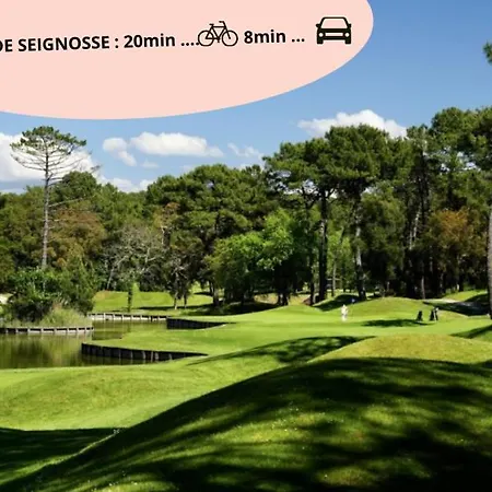 Parfum D'elegance - - Vue Sur Les Pins Seignosse