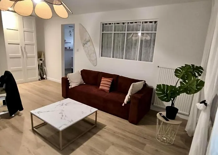 Le Parfum D Elegance - - سانيوس