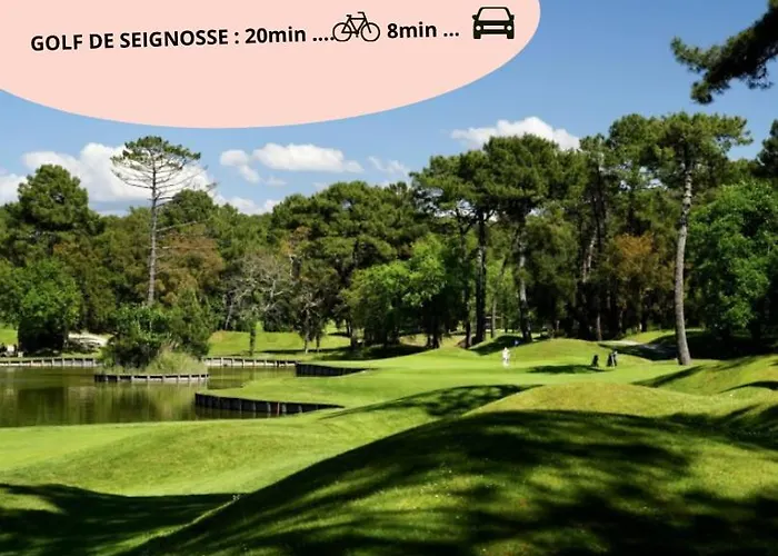 Le Parfum D Elegance - - سانيوس